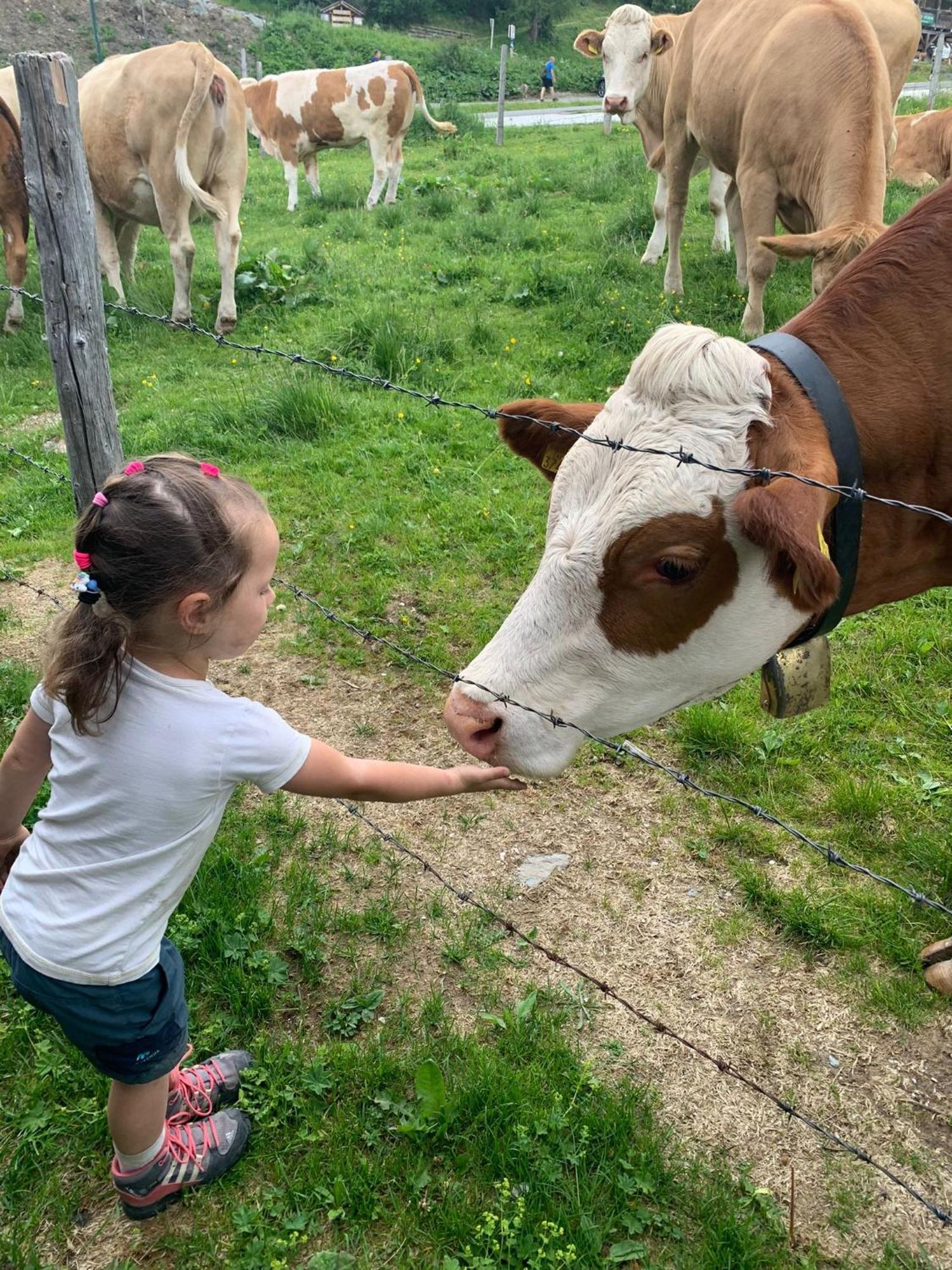 Willa Almhaus Heidi Nockberge Patergassen Zewnętrze zdjęcie