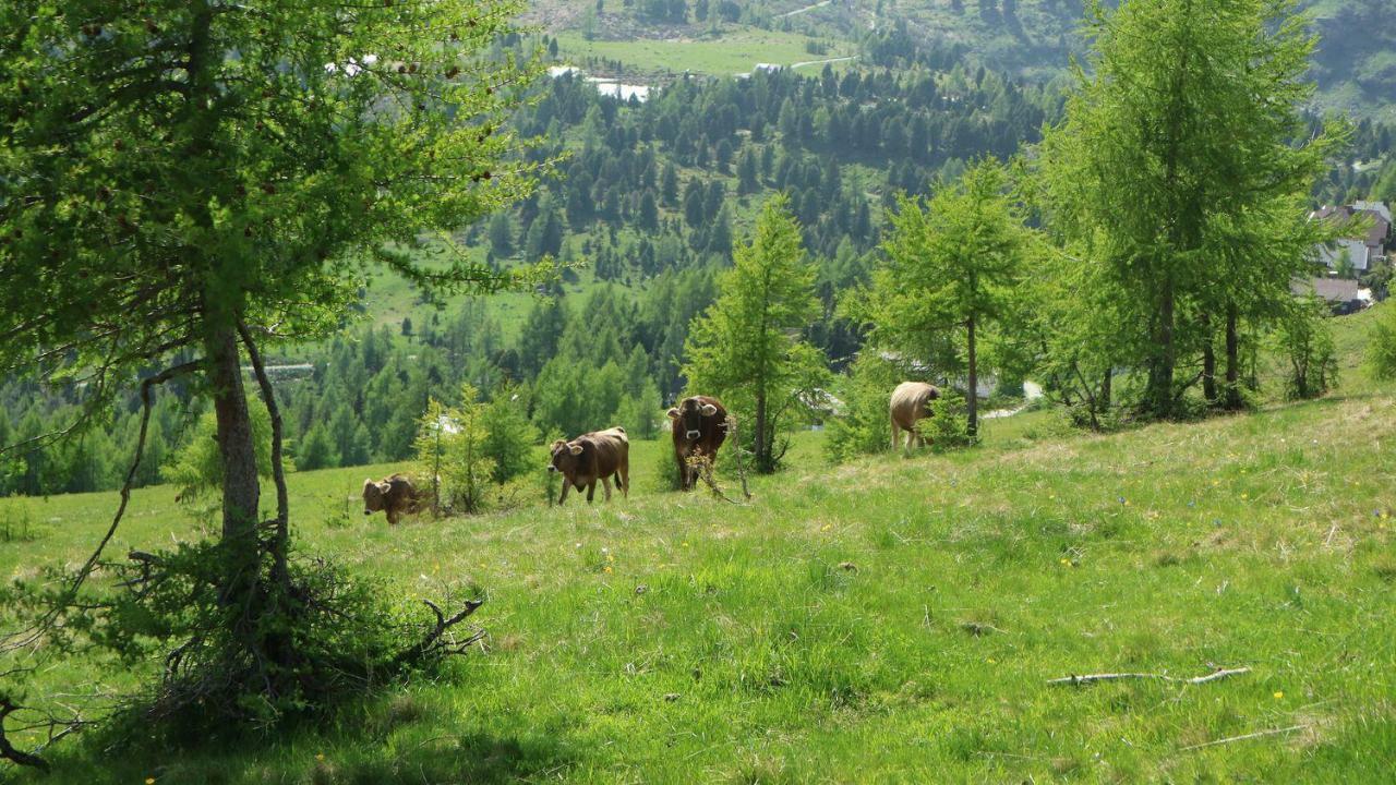 Willa Almhaus Heidi Nockberge Patergassen Zewnętrze zdjęcie