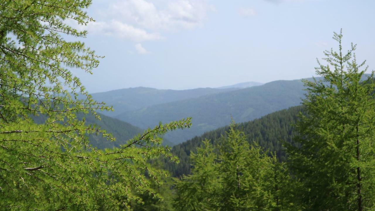 Willa Almhaus Heidi Nockberge Patergassen Zewnętrze zdjęcie